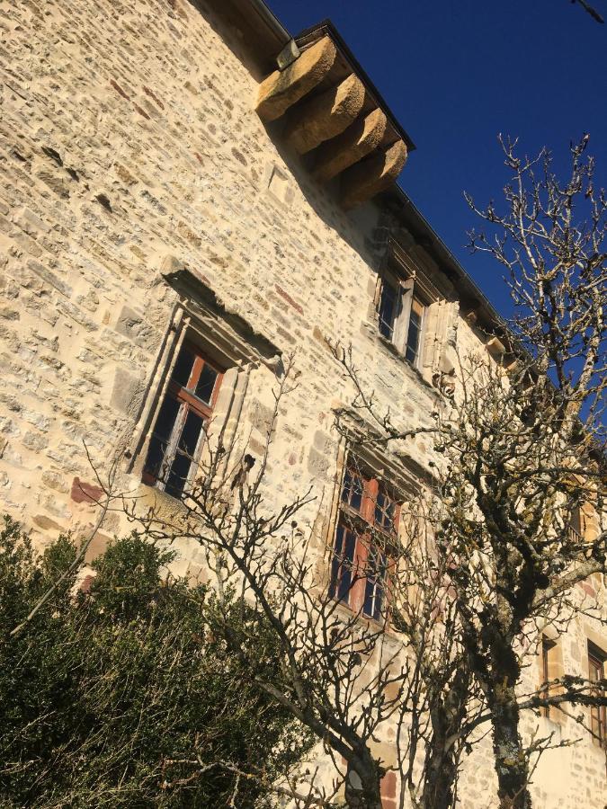 Le Chateau De Lunel Saint-Félix-de-Lunel Exteriér fotografie